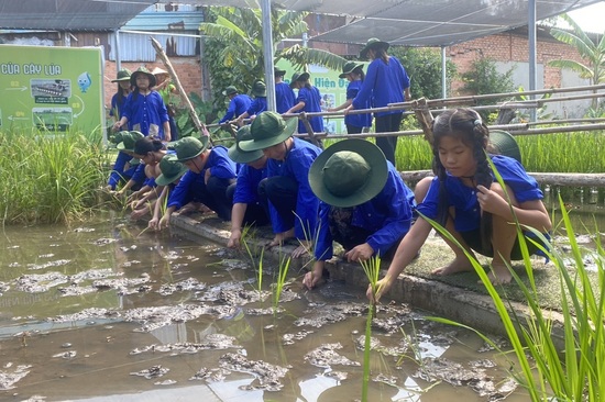 Chương trình trải nghiệm thực tế Hè 2024 - Nhà Thiếu nhi Quận 6